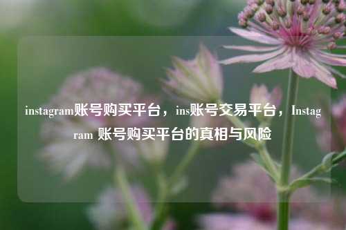 instagram账号购买平台，ins账号交易平台，Instagram 账号购买平台的真相与风险