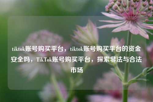 tiktok账号购买平台，tiktok账号购买平台的资金安全吗，TikTok账号购买平台，探索非法与合法市场