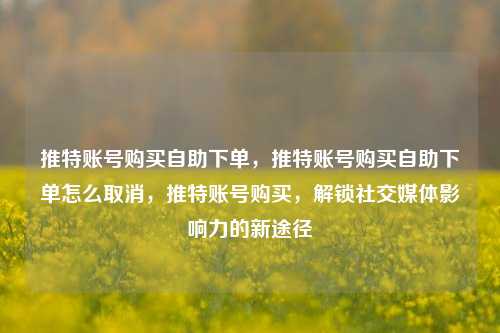 推特账号购买自助下单，推特账号购买自助下单怎么取消，推特账号购买，解锁社交媒体影响力的新途径