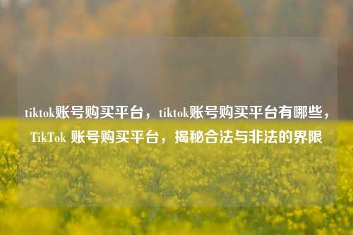 tiktok账号购买平台，tiktok账号购买平台有哪些，TikTok 账号购买平台，揭秘合法与非法的界限