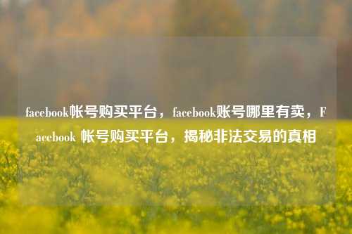 facebook帐号购买平台，facebook账号哪里有卖	，Facebook 帐号购买平台，揭秘非法交易的真相  第1张