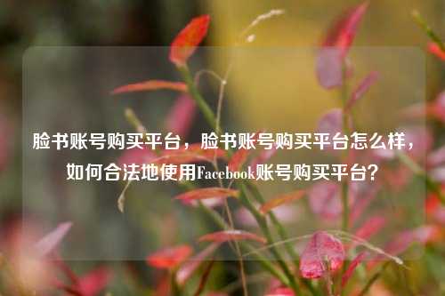 脸书账号购买平台，脸书账号购买平台怎么样，如何合法地使用Facebook账号购买平台？