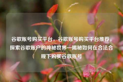谷歌账号购买平台	，谷歌账号购买平台推荐，探索谷歌账户的神秘世界—揭秘如何在合法合规下购买谷歌账号  第1张