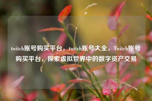 twitch账号购买平台，twitch账号大全，Twitch账号购买平台，探索虚拟世界中的数字资产交易
