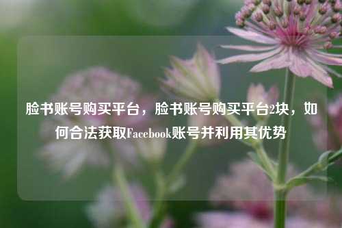 脸书账号购买平台，脸书账号购买平台2块，如何合法获取Facebook账号并利用其优势
