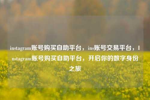 instagram账号购买自助平台，ins账号交易平台，Instagram账号购买自助平台，开启你的数字身份之旅
