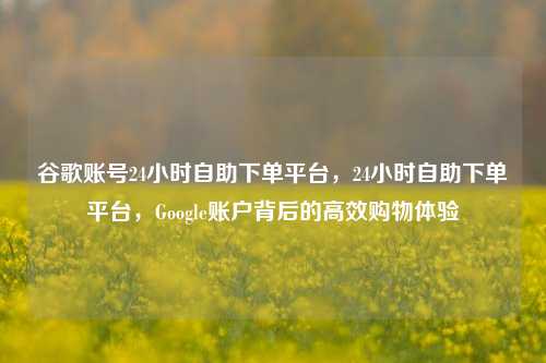 谷歌账号24小时自助下单平台，24小时自助下单平台，Google账户背后的高效购物体验
