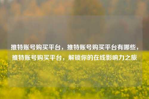 推特账号购买平台，推特账号购买平台有哪些，推特账号购买平台，解锁你的在线影响力之旅