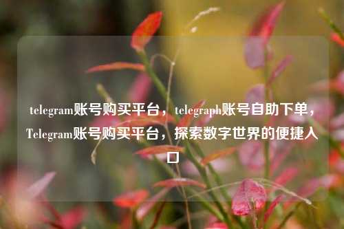 telegram账号购买平台，telegraph账号自助下单，Telegram账号购买平台，探索数字世界的便捷入口
