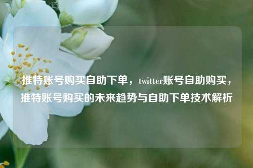 推特账号购买自助下单，twitter账号自助购买，推特账号购买的未来趋势与自助下单技术解析