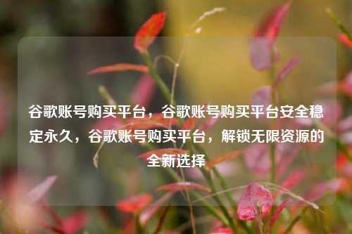 谷歌账号购买平台，谷歌账号购买平台安全稳定永久，谷歌账号购买平台，解锁无限资源的全新选择