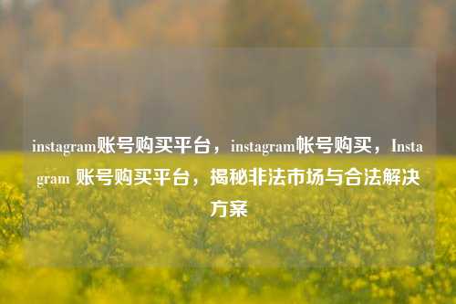 instagram账号购买平台，instagram帐号购买，Instagram 账号购买平台，揭秘非法市场与合法解决方案