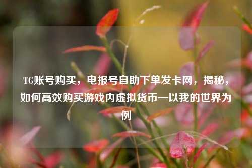 TG账号购买，电报号自助下单发卡网，揭秘，如何高效购买游戏内虚拟货币—以我的世界为例