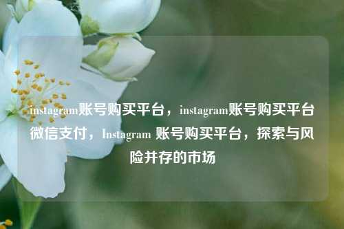 instagram账号购买平台，instagram账号购买平台微信支付，Instagram 账号购买平台，探索与风险并存的市场