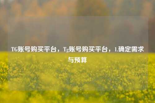TG账号购买平台，Tg账号购买平台，1.确定需求与预算