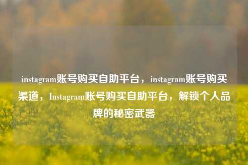 instagram账号购买自助平台，instagram账号购买渠道，Instagram账号购买自助平台，解锁个人品牌的秘密武器