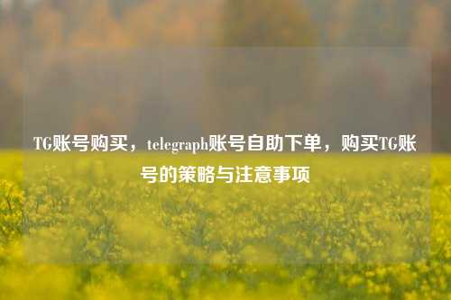 TG账号购买，telegraph账号自助下单，购买TG账号的策略与注意事项