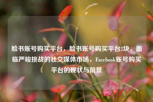 脸书账号购买平台，脸书账号购买平台2块，面临严峻挑战的社交媒体市场	，Facebook账号购买平台的现状与前景  第1张