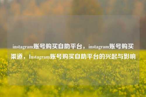 instagram账号购买自助平台，instagram账号购买渠道，Instagram账号购买自助平台的兴起与影响