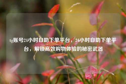 tg账号24小时自助下单平台，24小时自助下单平台，解锁高效购物体验的秘密武器