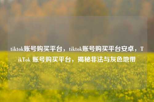 tiktok账号购买平台，tiktok账号购买平台安卓，TikTok 账号购买平台，揭秘非法与灰色地带