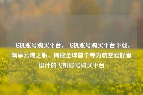 飞机账号购买平台，飞机账号购买平台下载，畅享云端之旅，揭秘全球首个专为航空爱好者设计的飞机账号购买平台