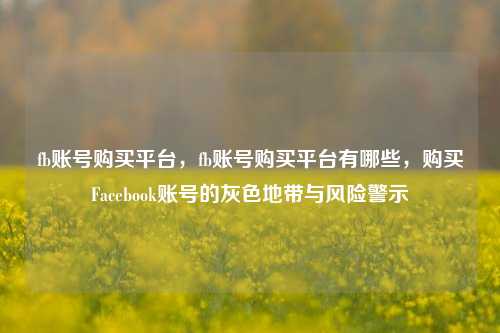 fb账号购买平台，fb账号购买平台有哪些，购买Facebook账号的灰色地带与风险警示