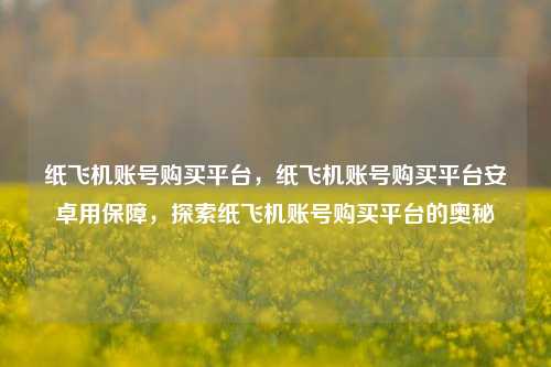 纸飞机账号购买平台	，纸飞机账号购买平台安卓用保障，探索纸飞机账号购买平台的奥秘  第1张