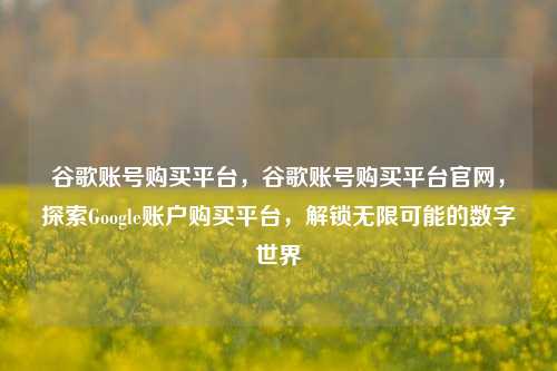 谷歌账号购买平台，谷歌账号购买平台官网，探索Google账户购买平台，解锁无限可能的数字世界