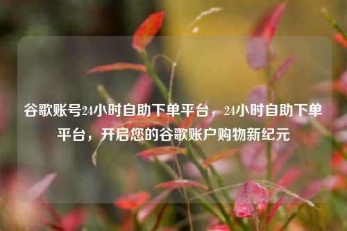 谷歌账号24小时自助下单平台，24小时自助下单平台，开启您的谷歌账户购物新纪元