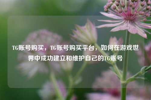 TG账号购买，TG账号购买平台，如何在游戏世界中成功建立和维护自己的TG账号  第1张
