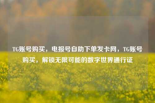 TG账号购买，电报号自助下单发卡网，TG账号购买，解锁无限可能的数字世界通行证