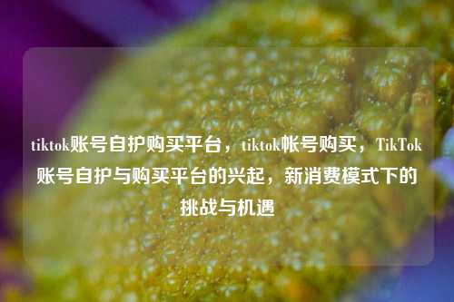 tiktok账号自护购买平台，tiktok帐号购买，TikTok账号自护与购买平台的兴起，新消费模式下的挑战与机遇