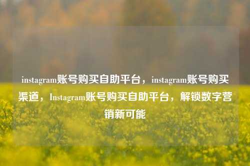 instagram账号购买自助平台，instagram账号购买渠道，Instagram账号购买自助平台，解锁数字营销新可能