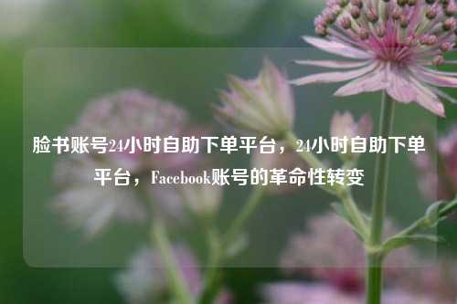 脸书账号24小时自助下单平台，24小时自助下单平台，Facebook账号的革命性转变