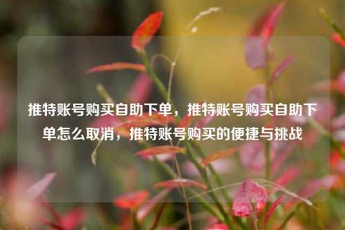 推特账号购买自助下单，推特账号购买自助下单怎么取消，推特账号购买的便捷与挑战