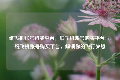 纸飞机账号购买平台，纸飞机账号购买平台15，纸飞机账号购买平台，解锁你的飞行梦想