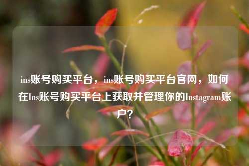 ins账号购买平台，ins账号购买平台官网，如何在Ins账号购买平台上获取并管理你的Instagram账户？
