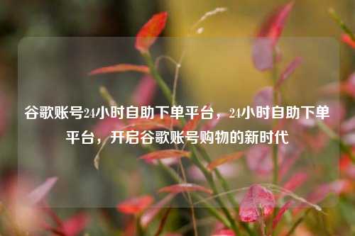 谷歌账号24小时自助下单平台，24小时自助下单平台，开启谷歌账号购物的新时代
