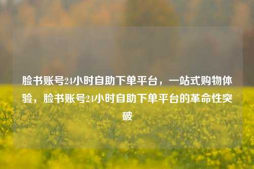 脸书账号24小时自助下单平台，一站式购物体验，脸书账号24小时自助下单平台的革命性突破
