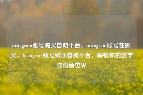 instagram账号购买自助平台，instagram账号在哪买，Instagram账号购买自助平台，解锁你的数字身份新世界