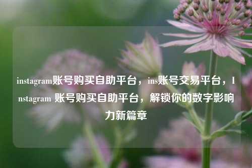 instagram账号购买自助平台，ins账号交易平台，Instagram 账号购买自助平台，解锁你的数字影响力新篇章
