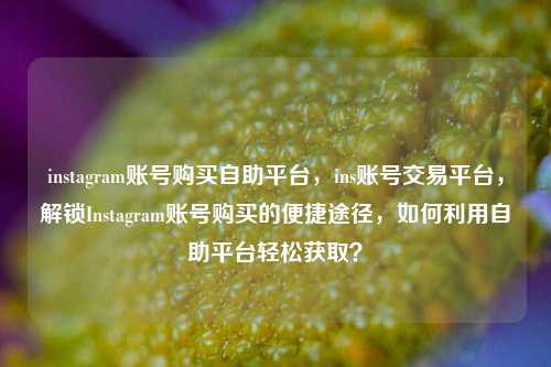 instagram账号购买自助平台，ins账号交易平台，解锁Instagram账号购买的便捷途径，如何利用自助平台轻松获取？