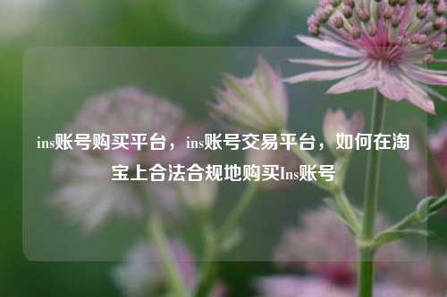 ins账号购买平台	，ins账号交易平台，如何在淘宝上合法合规地购买Ins账号  第1张