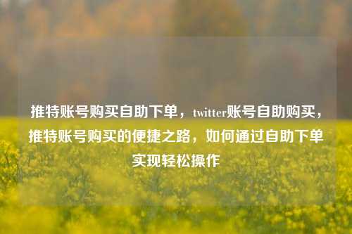 推特账号购买自助下单，twitter账号自助购买，推特账号购买的便捷之路，如何通过自助下单实现轻松操作