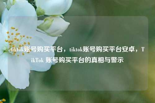 tiktok账号购买平台，tiktok账号购买平台安卓，TikTok 账号购买平台的真相与警示