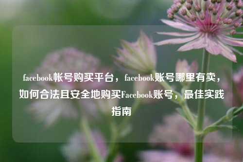 facebook帐号购买平台，facebook账号哪里有卖，如何合法且安全地购买Facebook账号，最佳实践指南