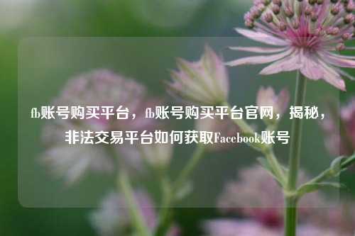 fb账号购买平台，fb账号购买平台官网	，揭秘，非法交易平台如何获取Facebook账号  第1张