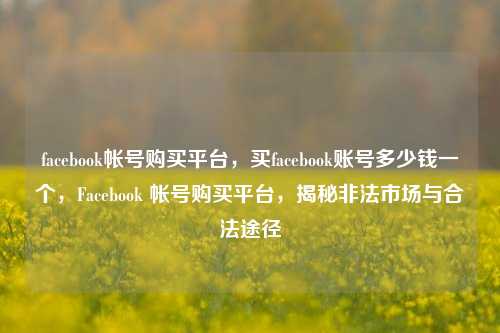 facebook帐号购买平台，买facebook账号多少钱一个，Facebook 帐号购买平台，揭秘非法市场与合法途径