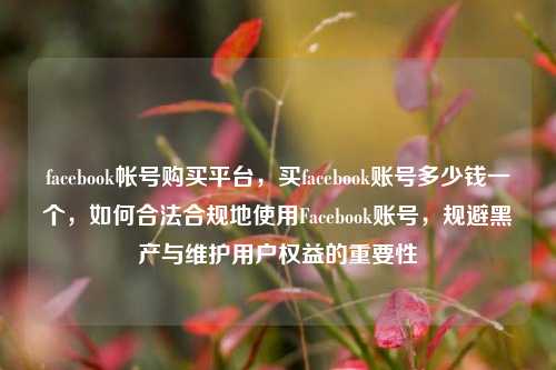 facebook帐号购买平台，买facebook账号多少钱一个，如何合法合规地使用Facebook账号，规避黑产与维护用户权益的重要性